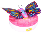 A colorful butterfly toy.