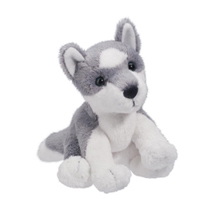 A cute gray and white husky sitting down.