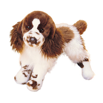 A spotty dog with fluffy brown ears.