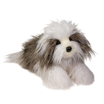 An adorable grey and white sheepdog.