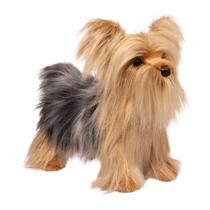 A cute little yorkie plush.